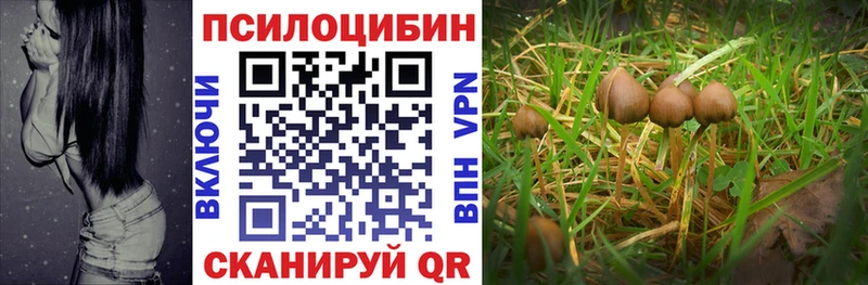Псилоцибиновые грибы ЛСД  Купить  Сысерть 